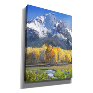 'Idyllic Mountain' by Chris Vest, Giclee Canvas Wall Art