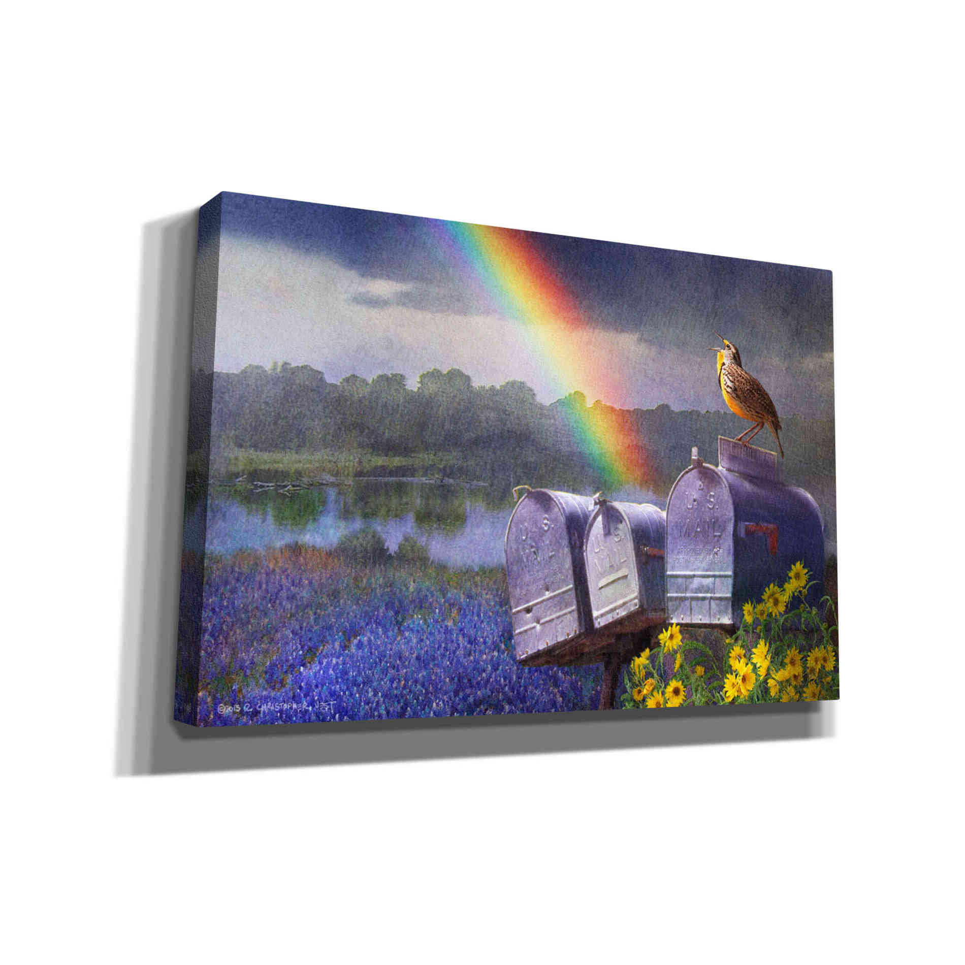 'Mailboxes' by Chris Vest, Giclee Canvas Wall Art