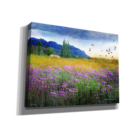 Image of 'Mesa Verde and Knapweed' by Chris Vest, Giclee Canvas Wall Art