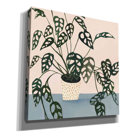 Image of 'Houseplant I' by Victoria Borges Canvas Wall Art
