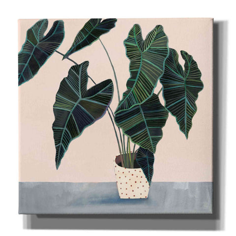 Image of 'Houseplant II' by Victoria Borges Canvas Wall Art