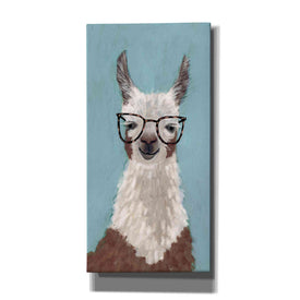 'Llama Specs I' by Victoria Borges Canvas Wall Art