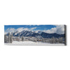 'Colorado Winter Wonderland' by Darren White, Canvas Wall Art