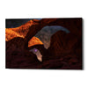 'Explore The Night' by Darren White, Canvas Wall Art