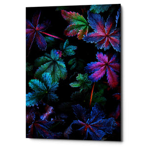'Frosty Fall' by Darren White, Canvas Wall Art