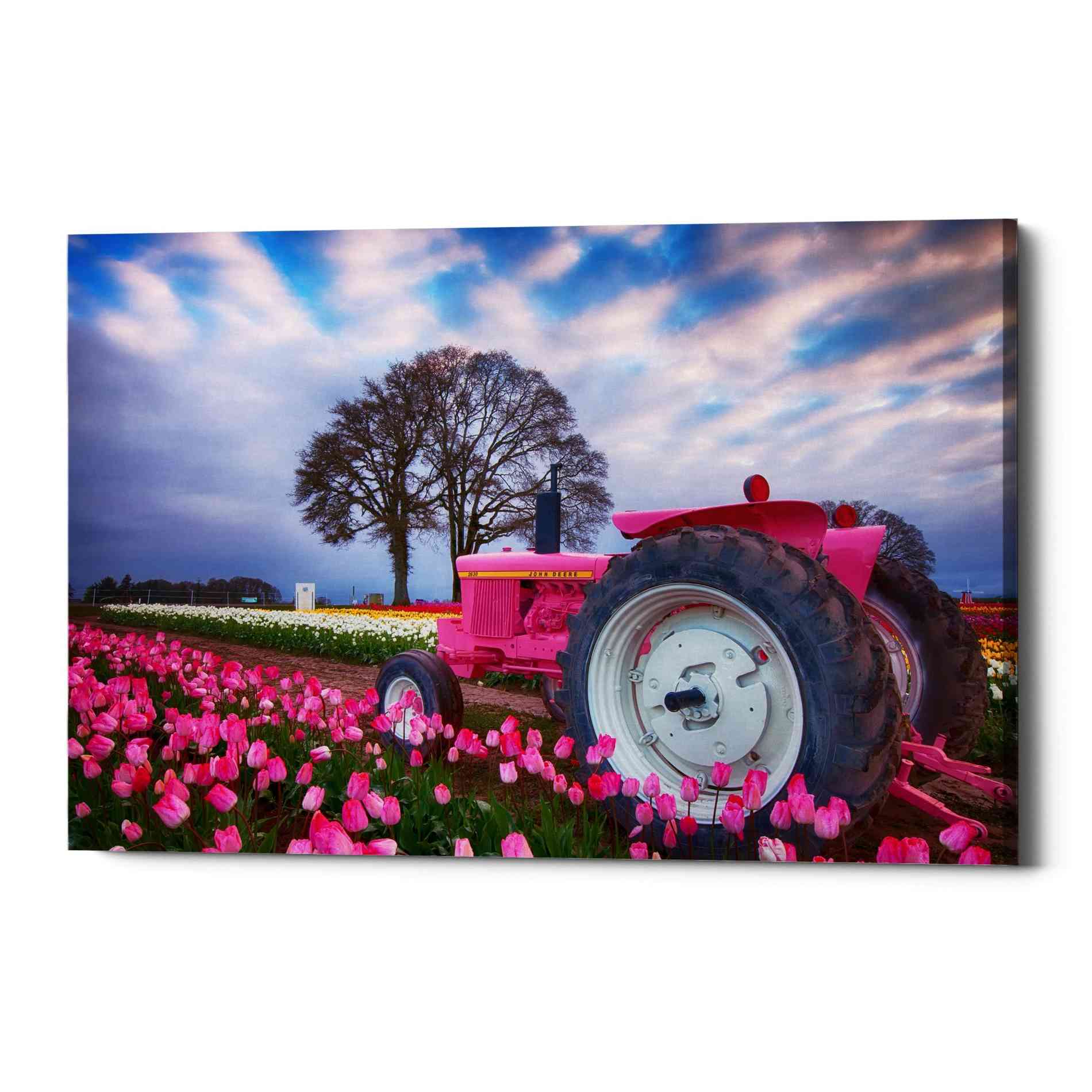 'Jane Deere' by Darren White, Canvas Wall Art
