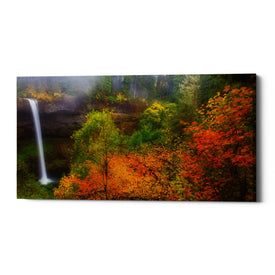 'Silver Falls' by Darren White, Canvas Wall Art