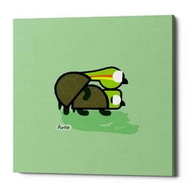 'Furtle' by Chuck Wimmer, Canvas Wall Art