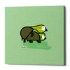 'Furtle' by Chuck Wimmer, Canvas Wall Art