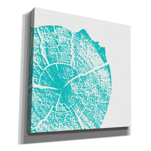 'Aqua Slice' by Linda Woods, Canvas Wall Art