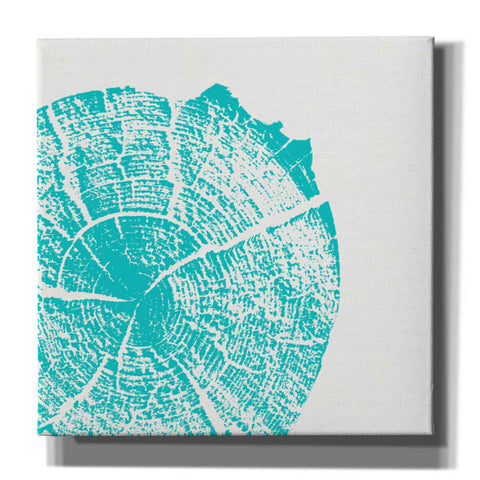 Image of 'Aqua Slice' by Linda Woods, Canvas Wall Art