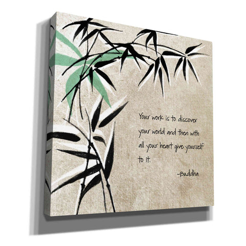 Image of 'Discover' by Linda Woods, Canvas Wall Art