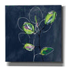 'Eucalyptus on Blue' by Linda Woods, Canvas Wall Art