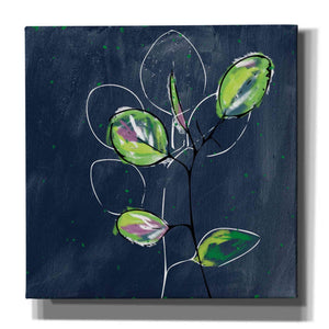 'Eucalyptus on Blue' by Linda Woods, Canvas Wall Art