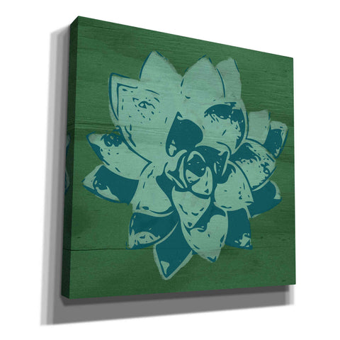 Image of 'Boho Succulent Green' by Linda Woods, Canvas Wall Art