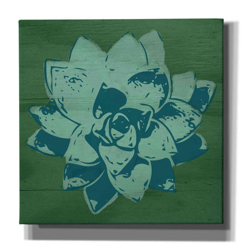 Image of 'Boho Succulent Green' by Linda Woods, Canvas Wall Art