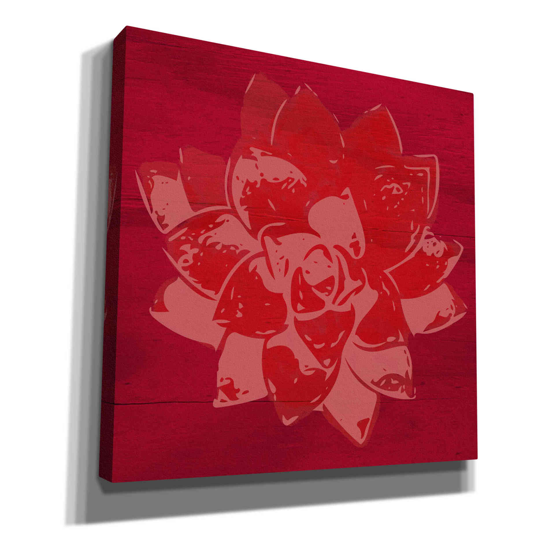'Boho Succulent Red' by Linda Woods, Canvas Wall Art