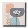 'Soft Floral II' by Linda Woods, Canvas Wall Art