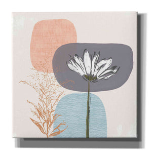 'Soft Floral II' by Linda Woods, Canvas Wall Art