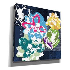 'Colorful Succulents II' by Linda Woods, Canvas Wall Art