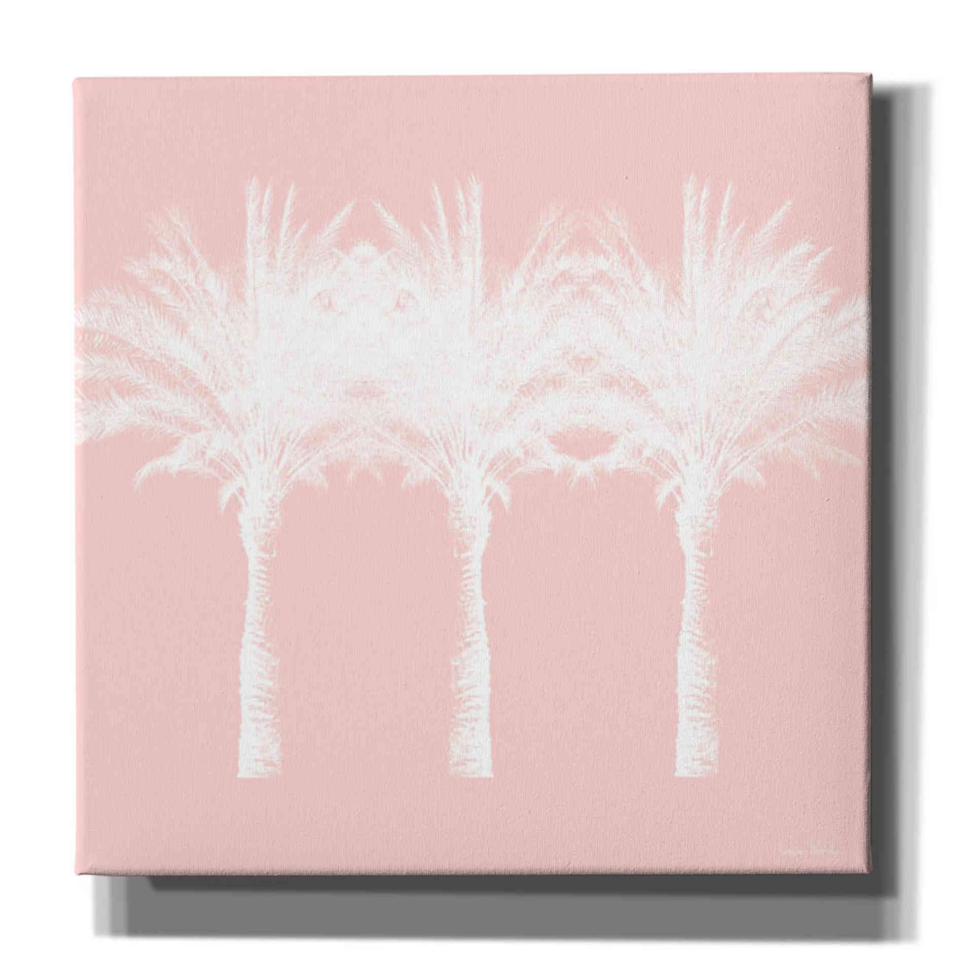 'White And Pink Palm Trees' by Linda Woods, Canvas Wall Art