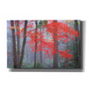 'Splash of Red' by Patrick Zephyr, Canvas Wall Art,Size A Landscape