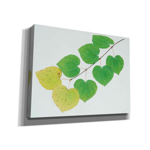 'Katura' by Zigen Tanabe, Giclee Canvas Wall Art