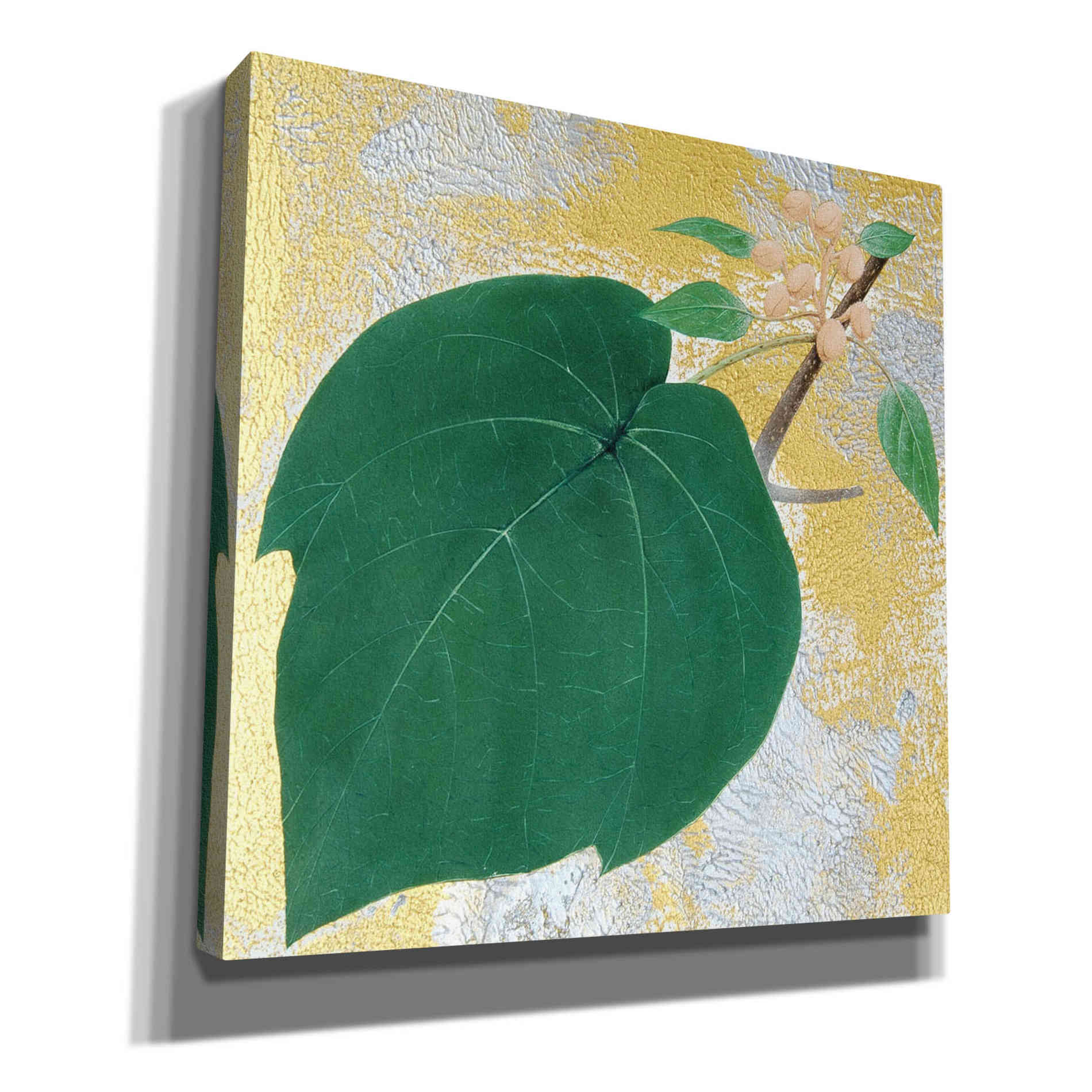 'Paulownia' by Zigen Tanabe, Giclee Canvas Wall Art