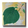 'Paulownia' by Zigen Tanabe, Giclee Canvas Wall Art
